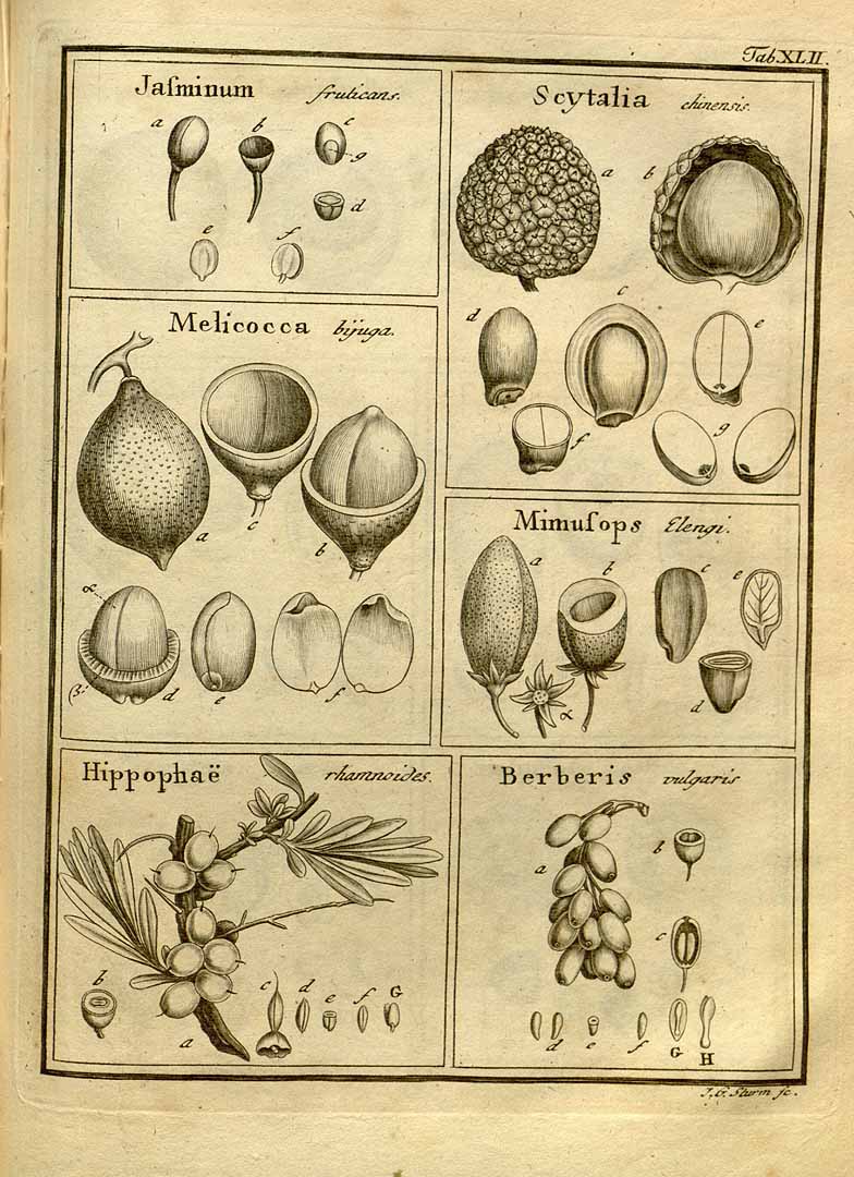 no HD illustration available (3)