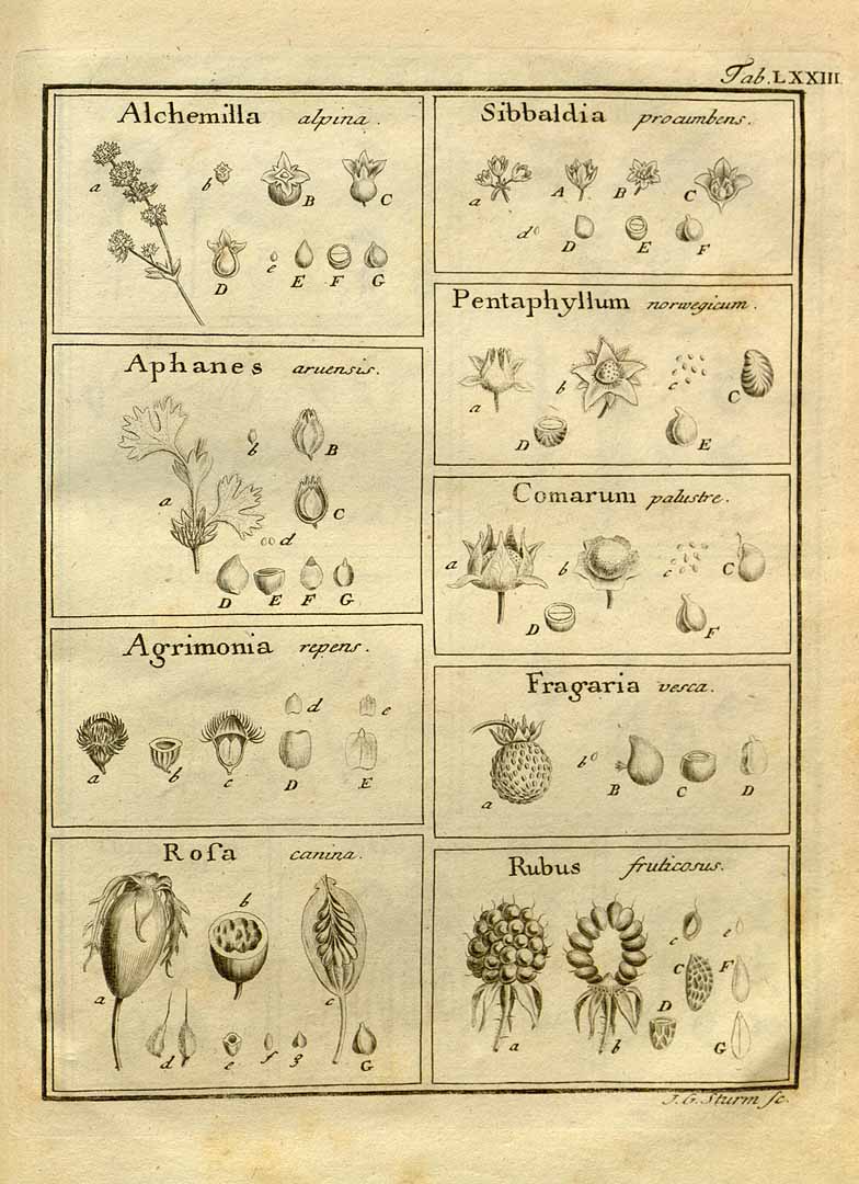 no HD illustration available (3)