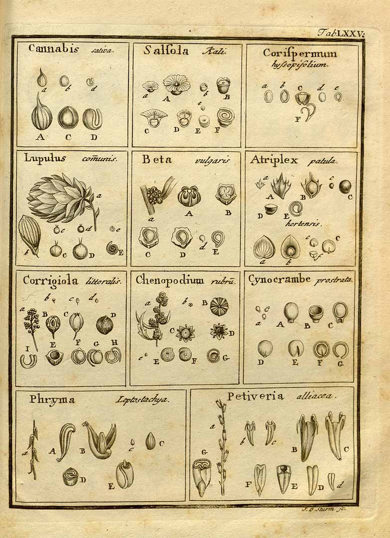 no HD illustration available (3)