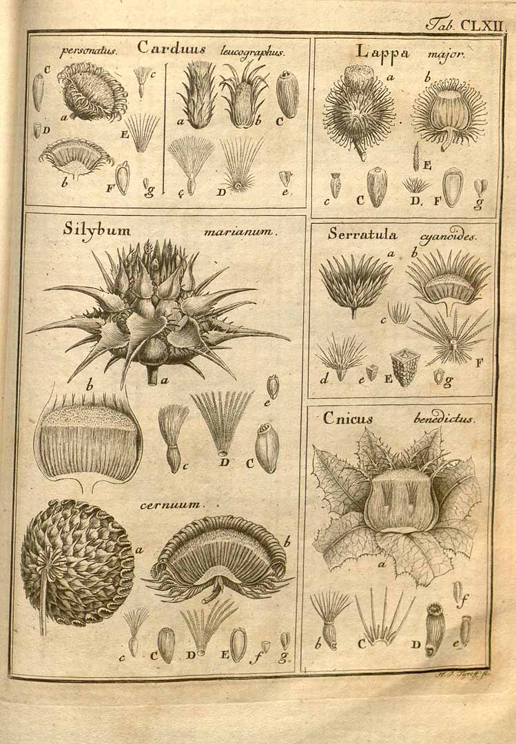 no HD illustration available (3)