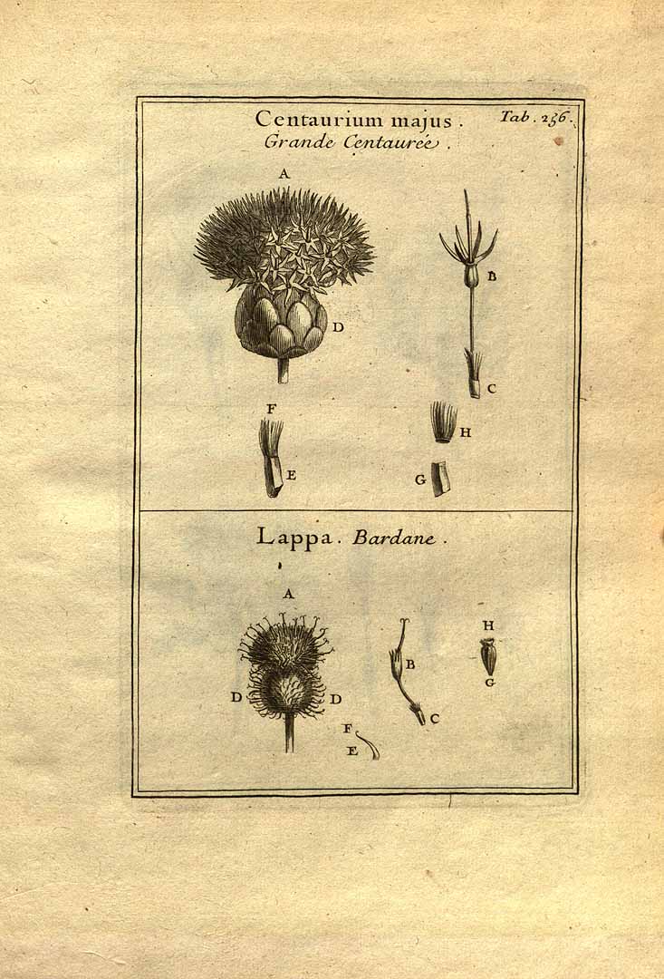 no HD illustration available (3)