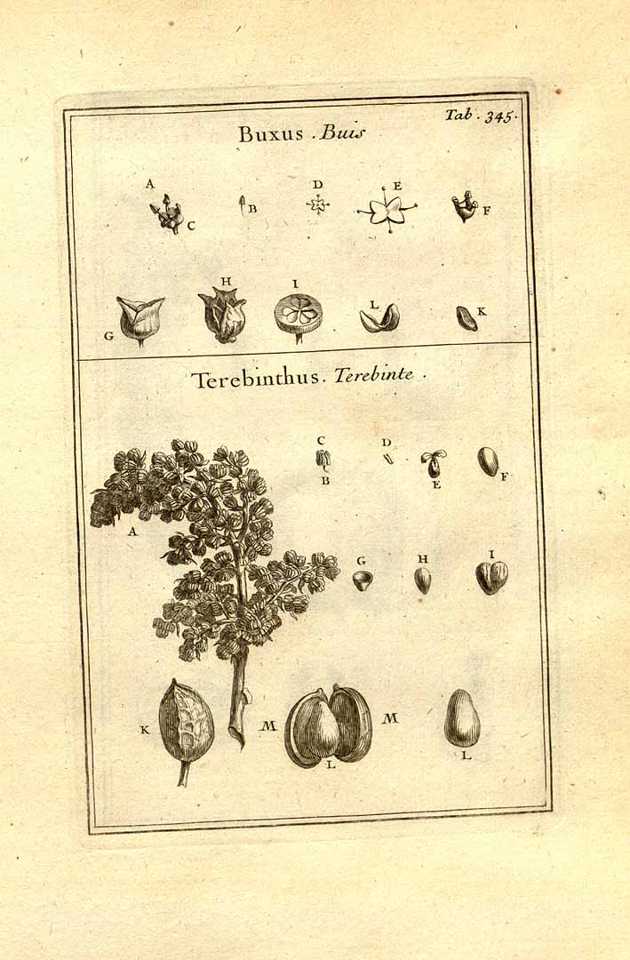 no HD illustration available (3)