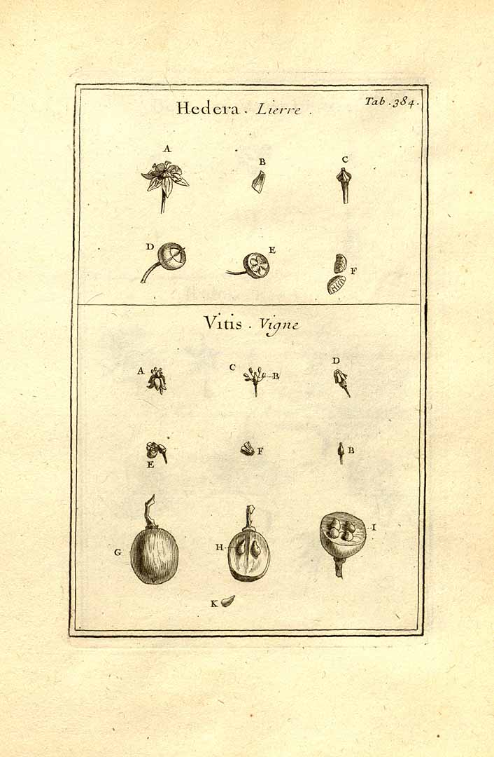 no HD illustration available (3)