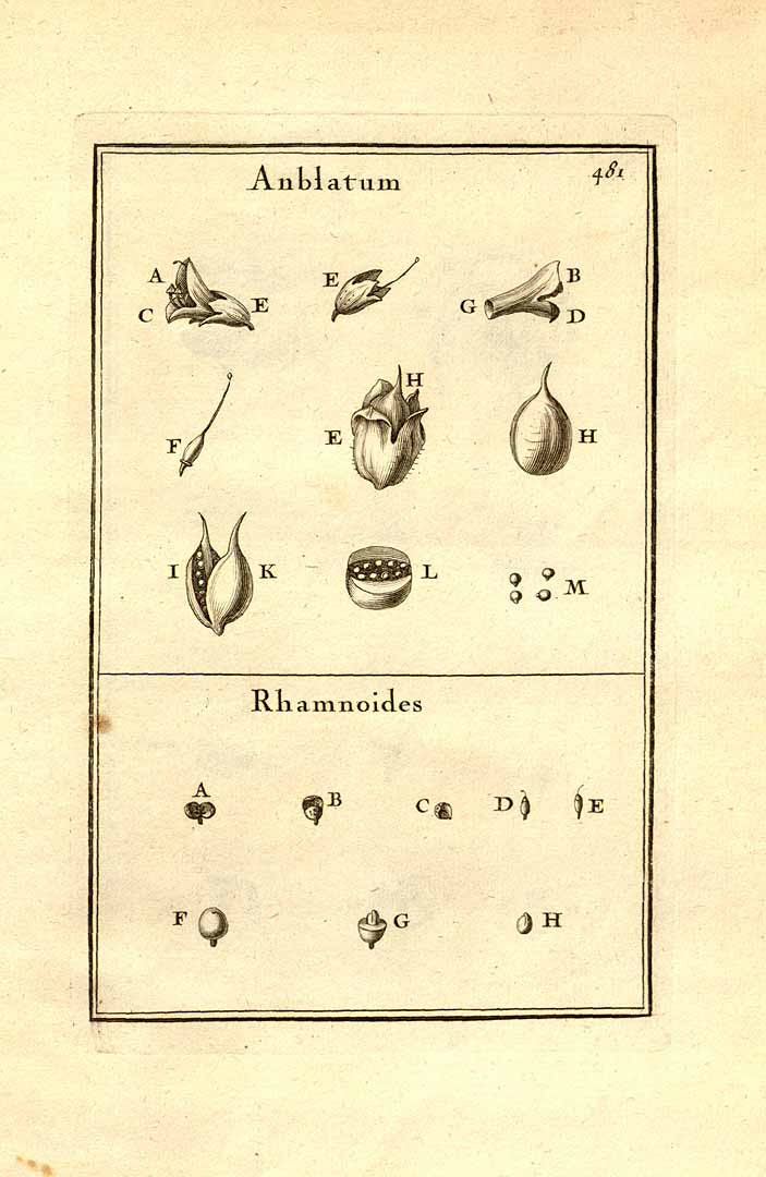 no HD illustration available (3)