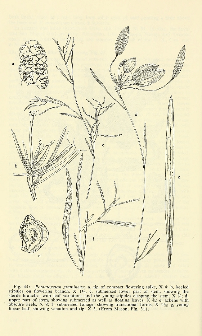 no HD illustration available (3)