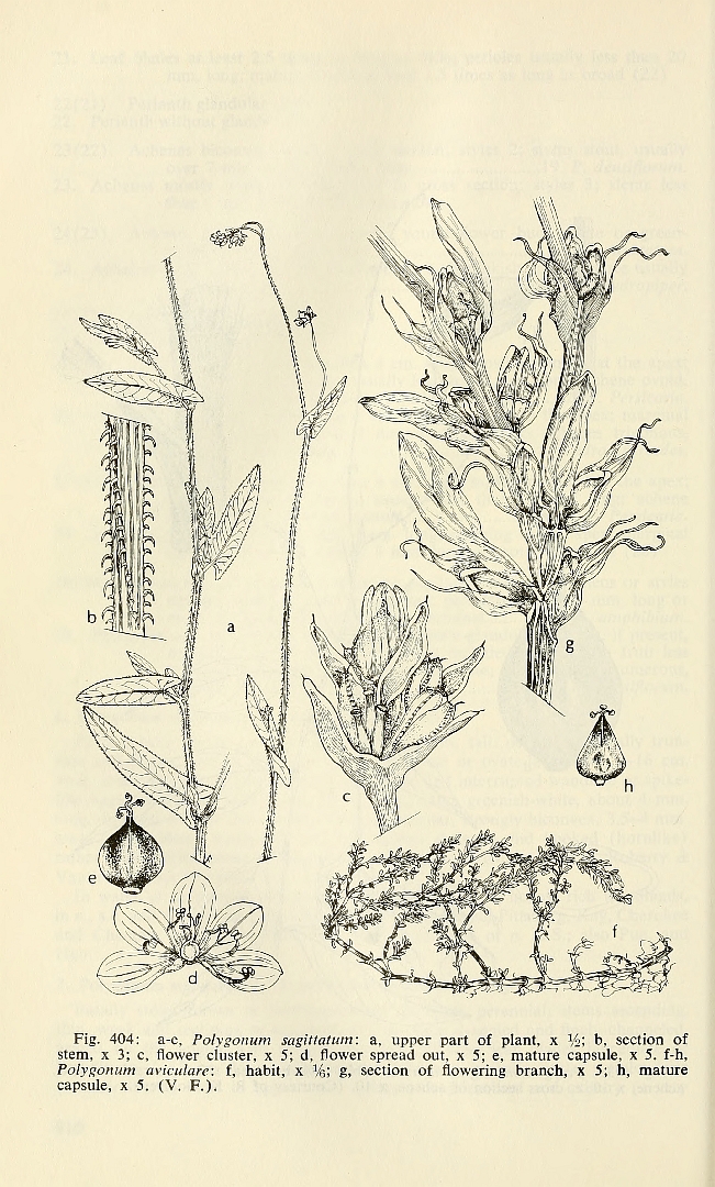 no HD illustration available (3)