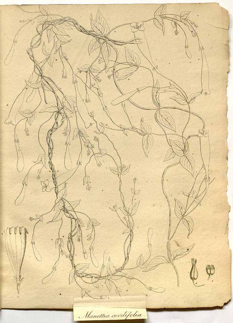 no HD illustration available (m3)