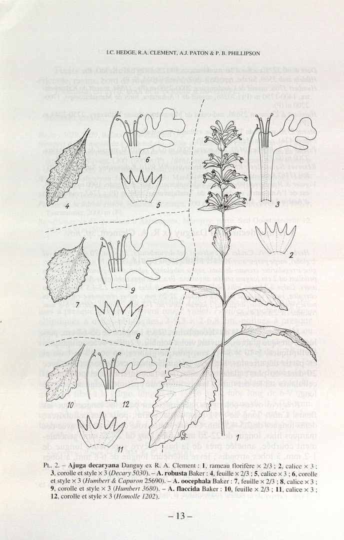 no HD illustration available (3)