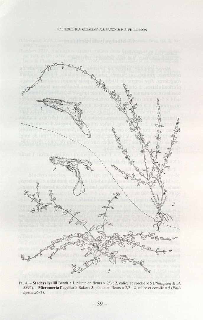 no HD illustration available (3)