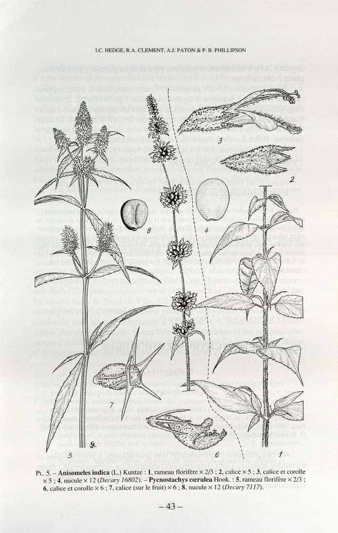 no HD illustration available (3)