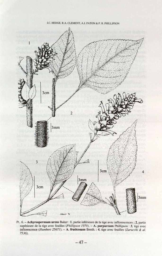 no HD illustration available (3)