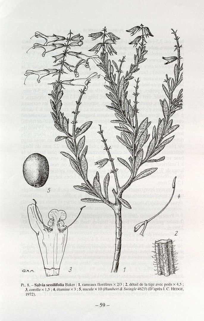 no HD illustration available (3)