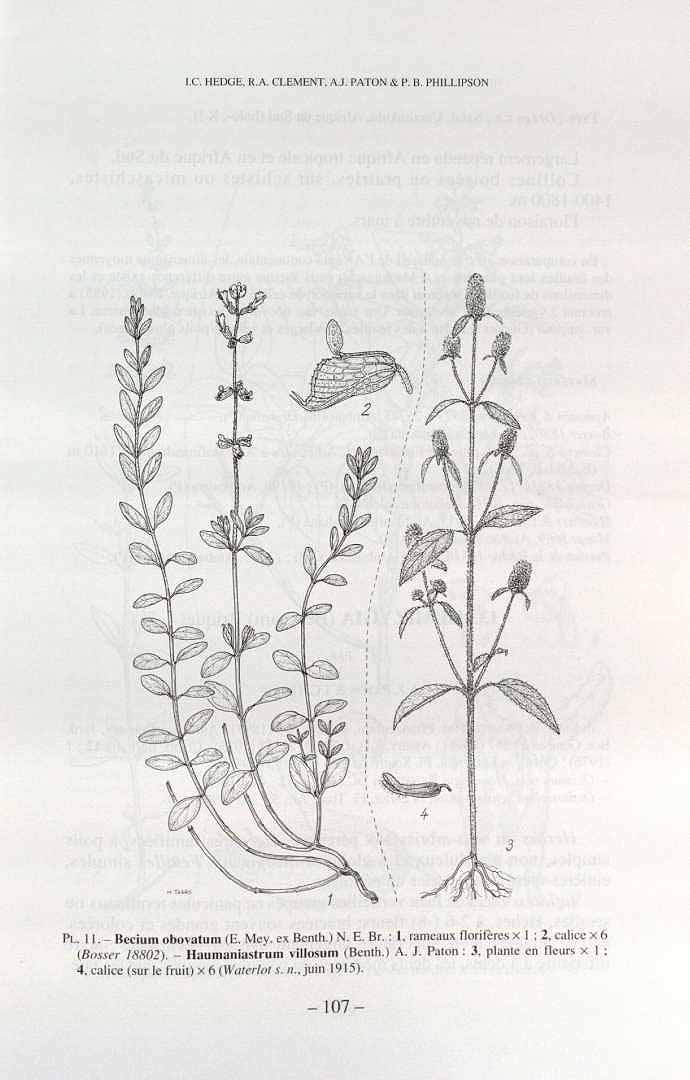 no HD illustration available (3)