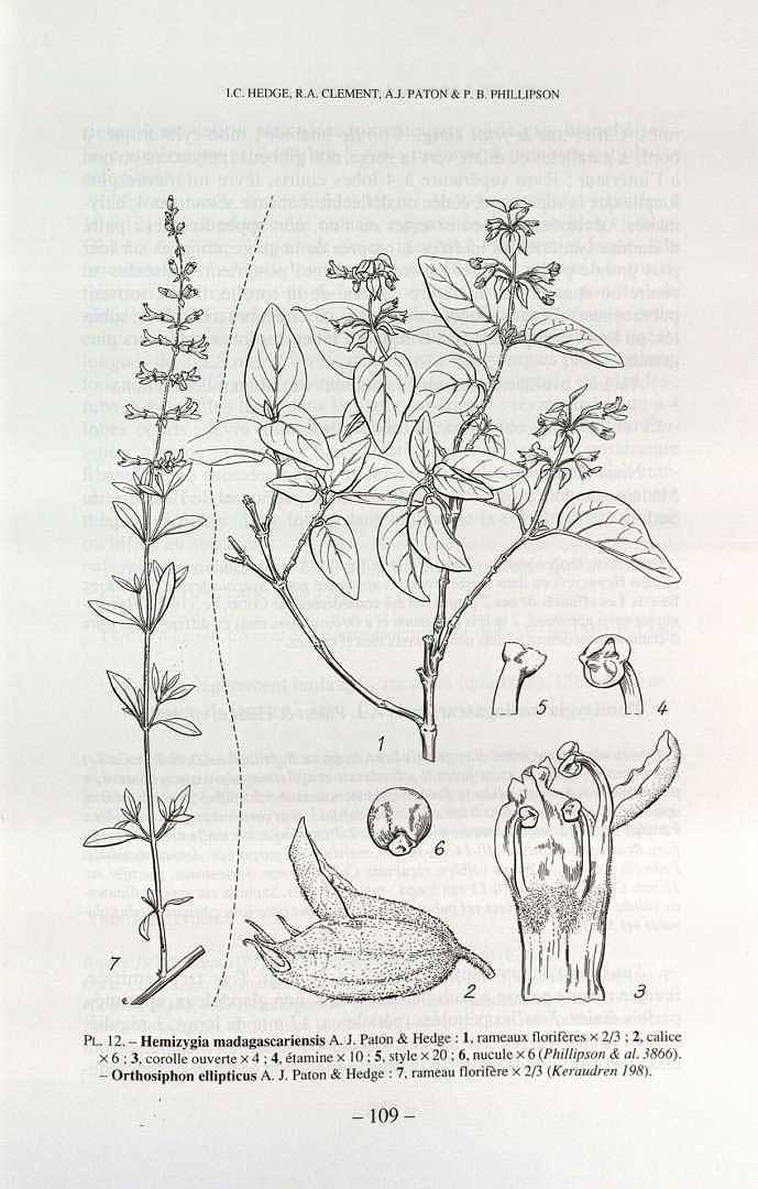 no HD illustration available (3)