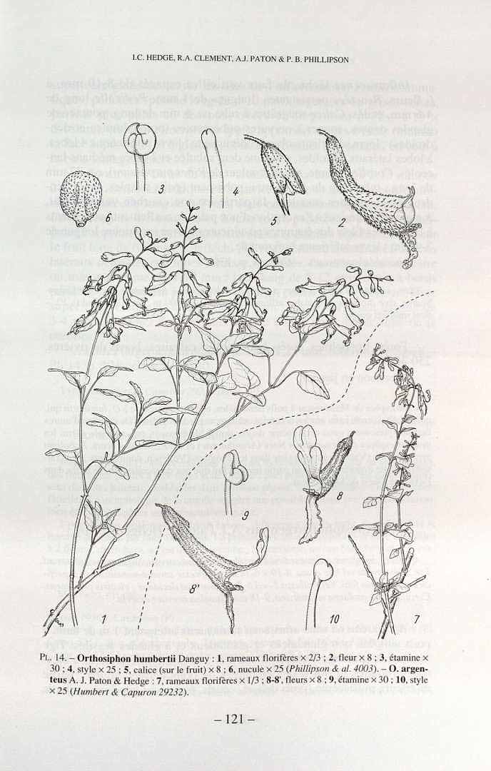 no HD illustration available (3)