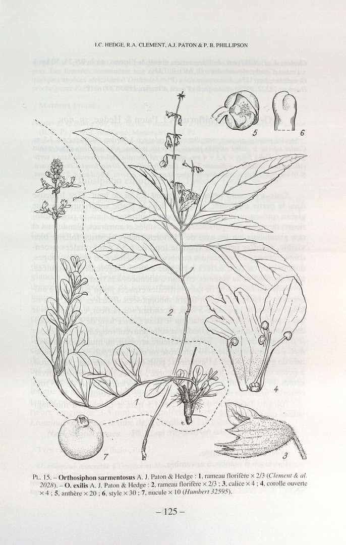 no HD illustration available (3)