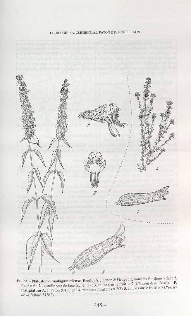 no HD illustration available (3)