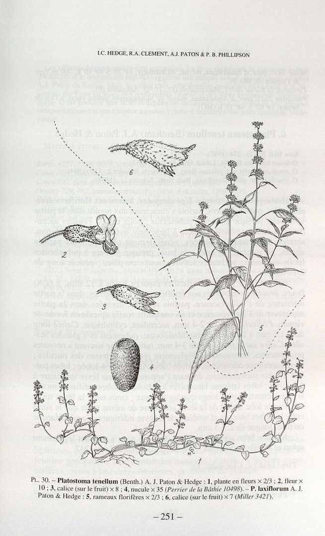 no HD illustration available (3)