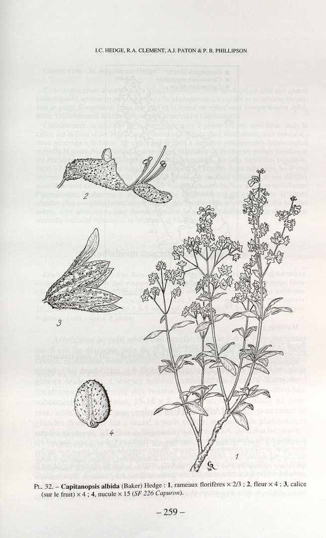 no HD illustration available (3)