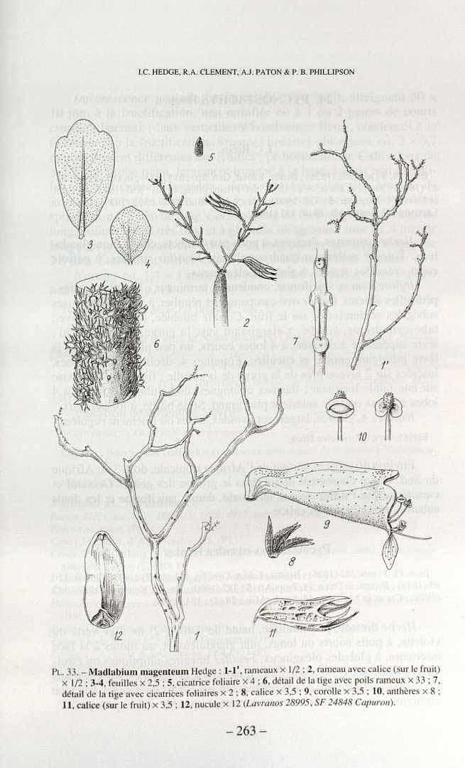 no HD illustration available (3)