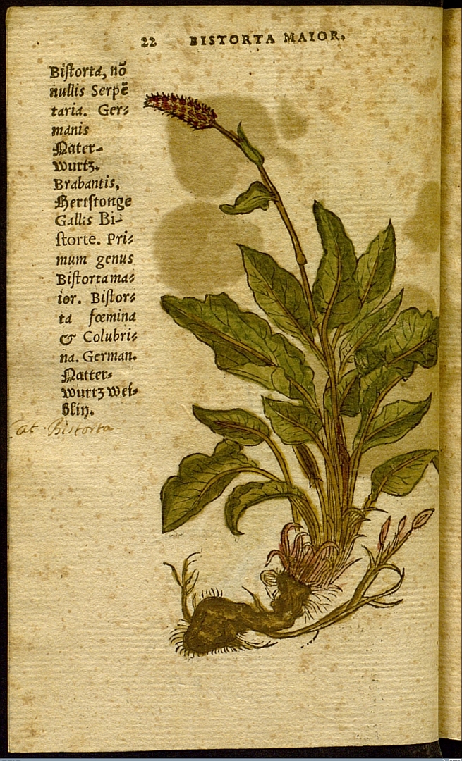 no HD illustration available (3)