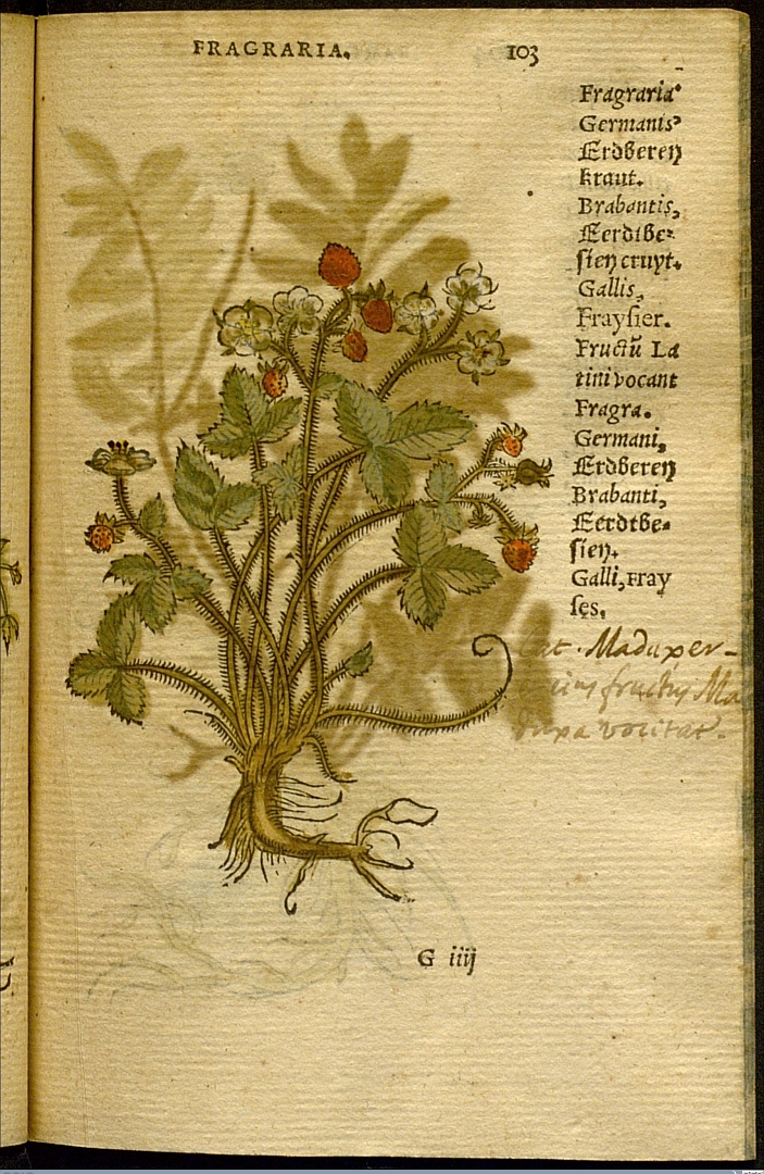 no HD illustration available (3)