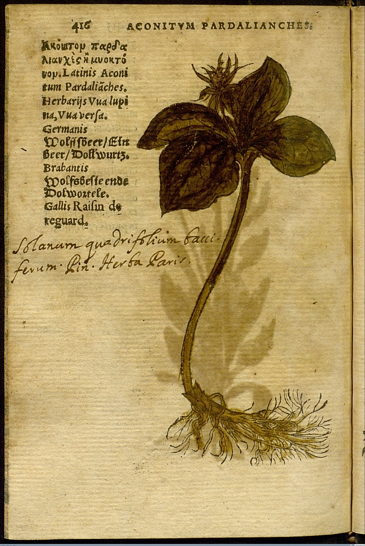 no HD illustration available (3)