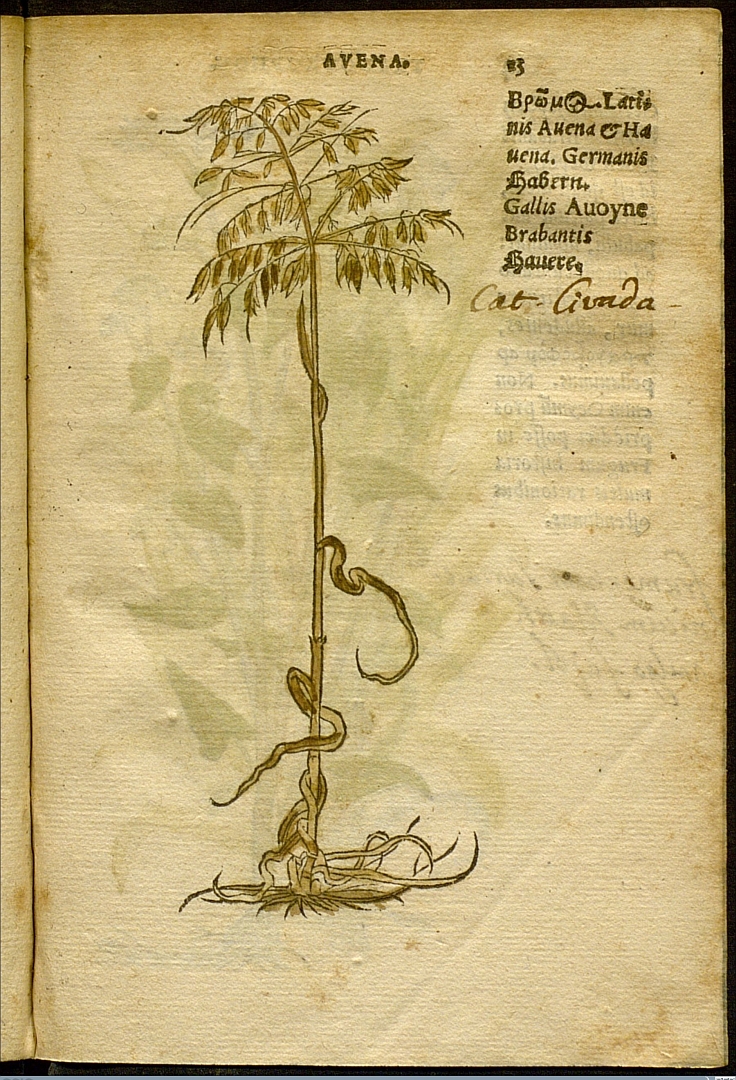 no HD illustration available (3)