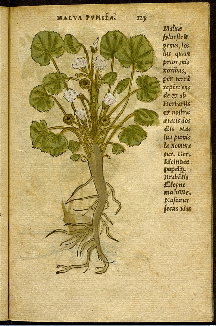 no HD illustration available (3)