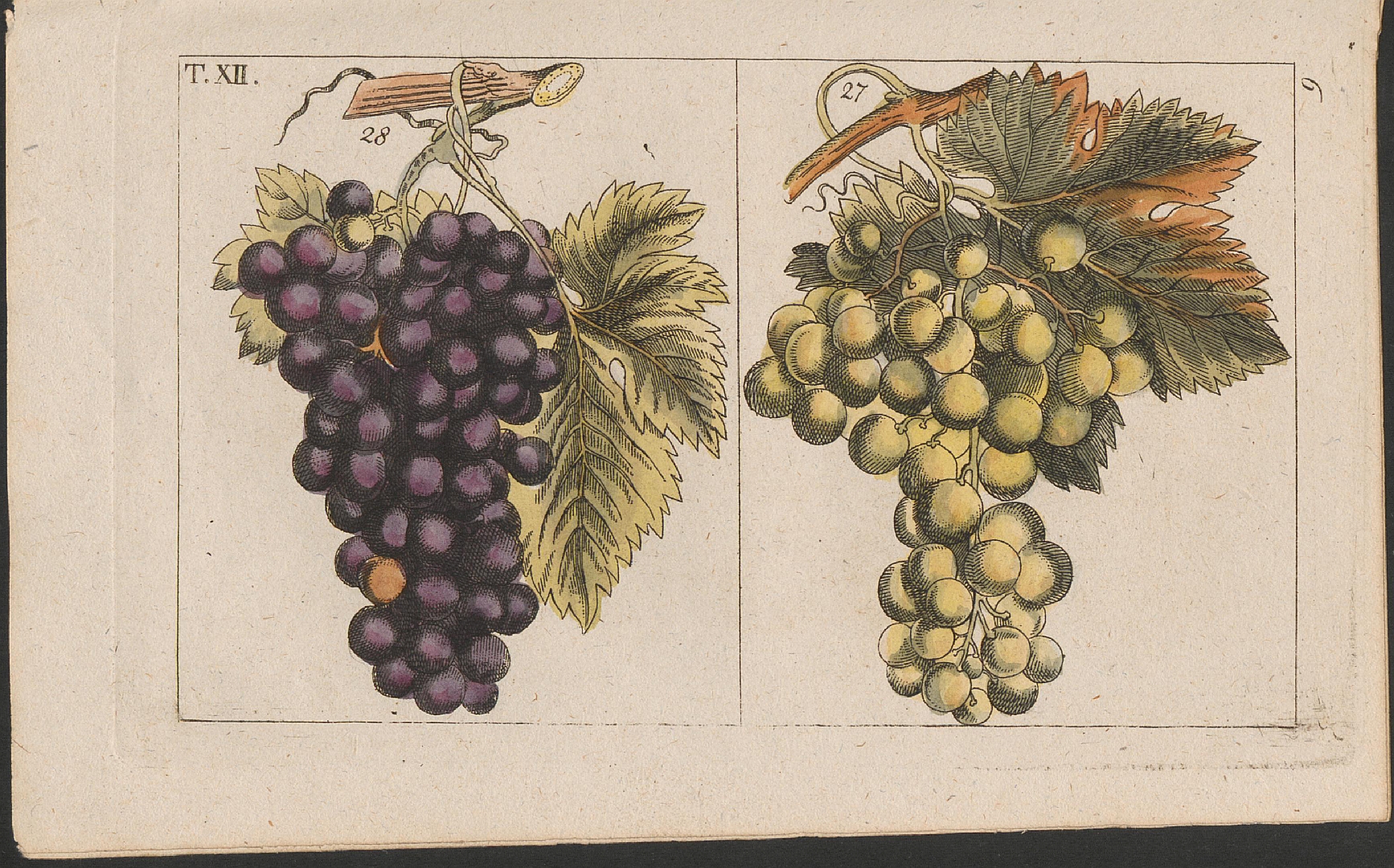 no HD illustration available (3)