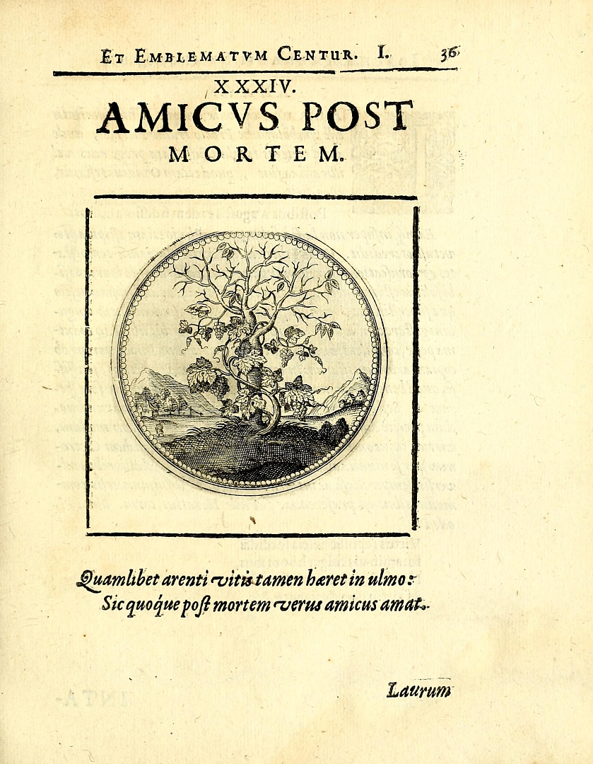 no HD illustration available (3)