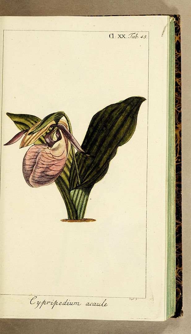 no HD illustration available (3)