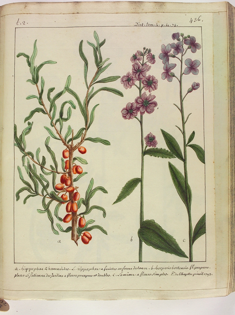 no HD illustration available (3)