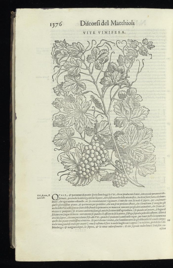 no HD illustration available (3)