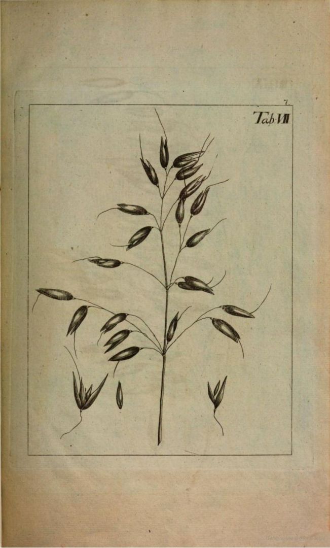 no HD illustration available (3)