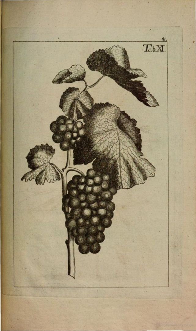 no HD illustration available (3)