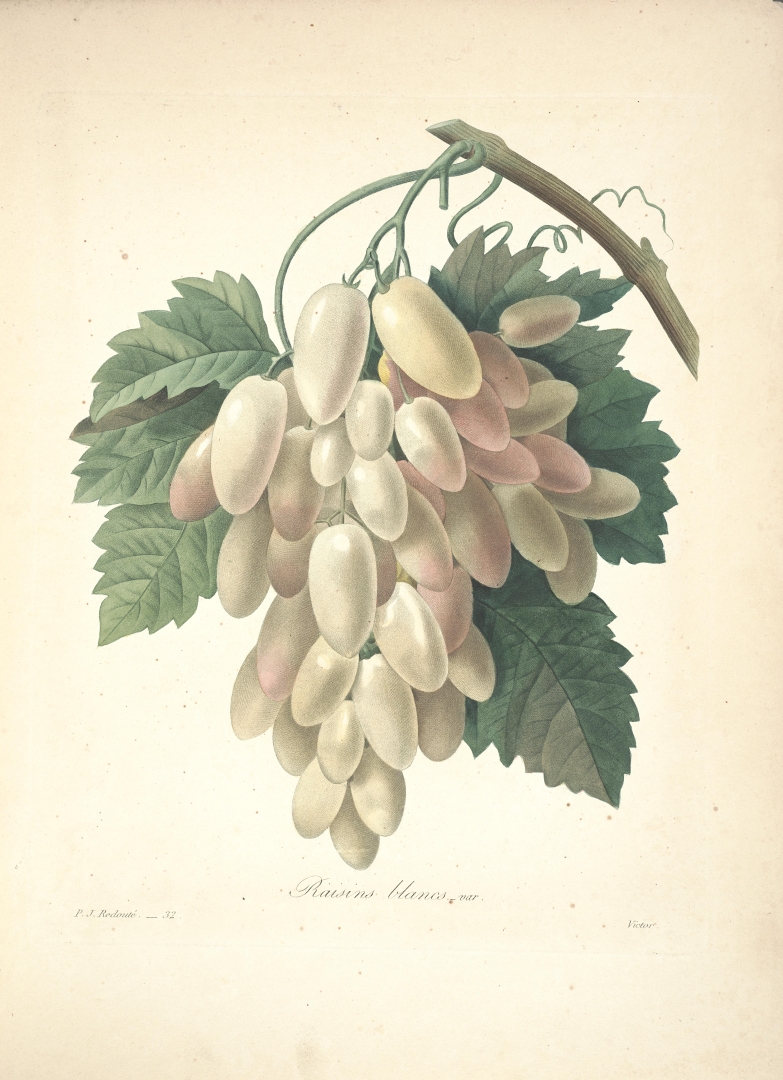 no HD illustration available (3)