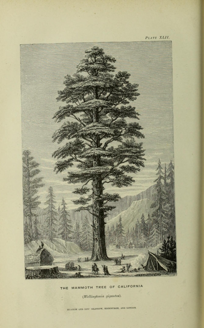 no HD illustration available (3)