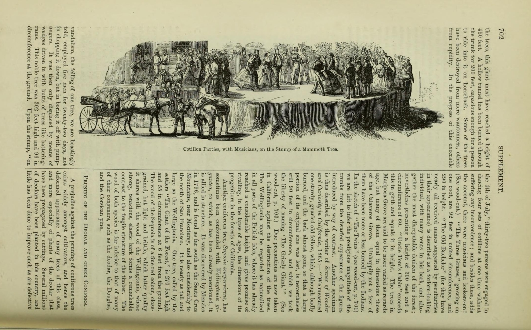 no HD illustration available (3)