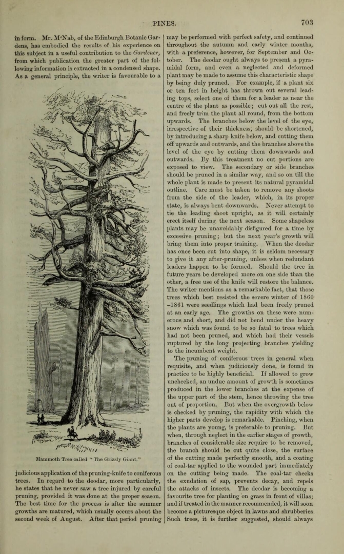 no HD illustration available (3)