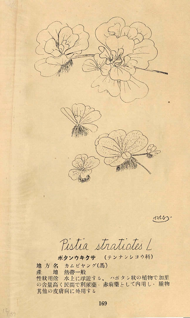 no HD illustration available (3)