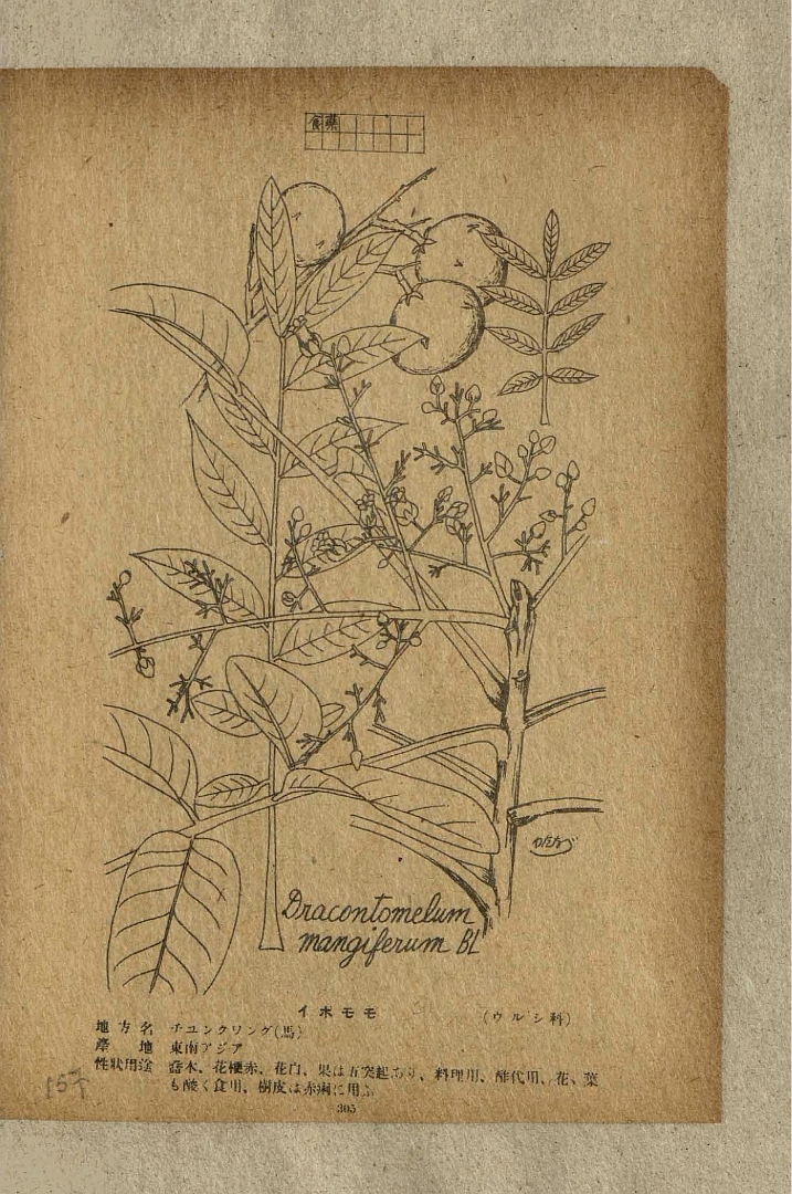 no HD illustration available (3)