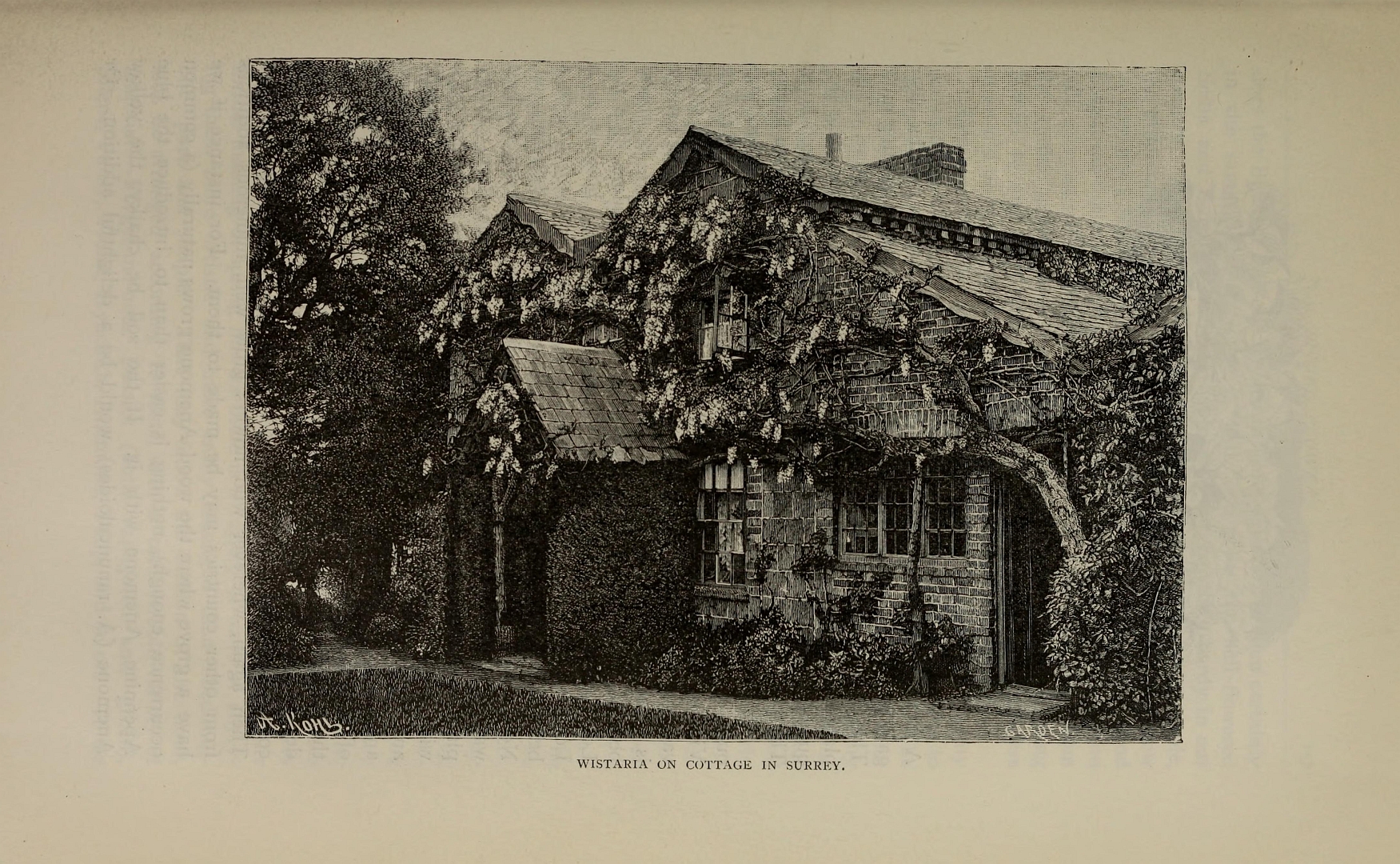 no HD illustration available (3)