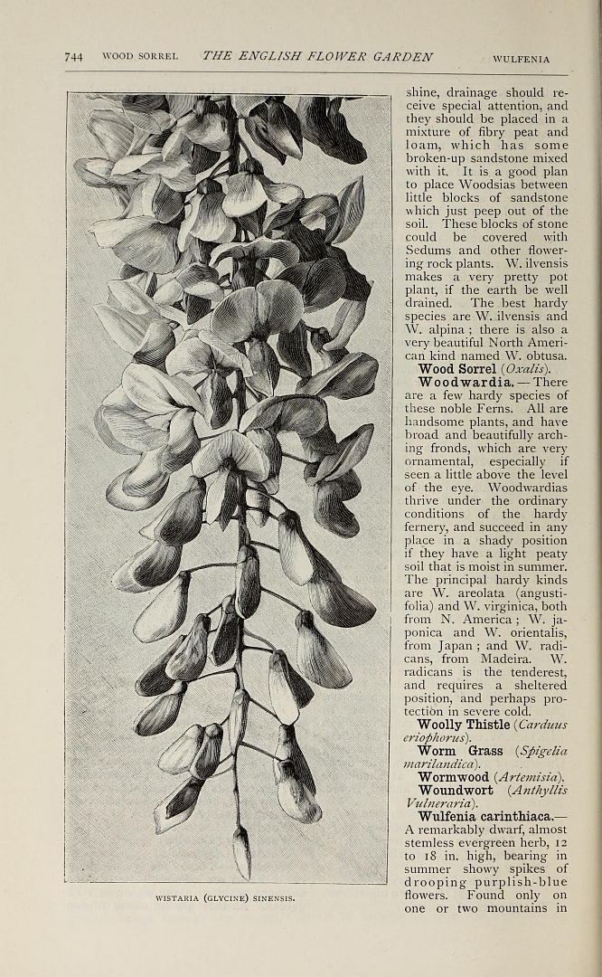 no HD illustration available (3)