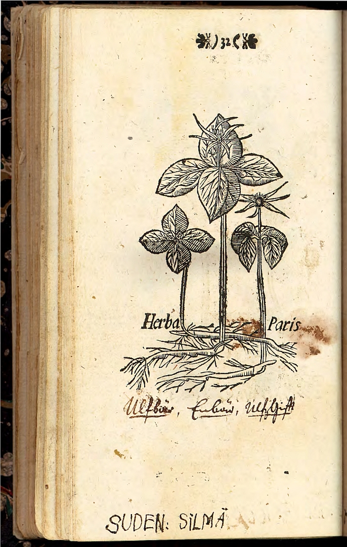 no HD illustration available (3)