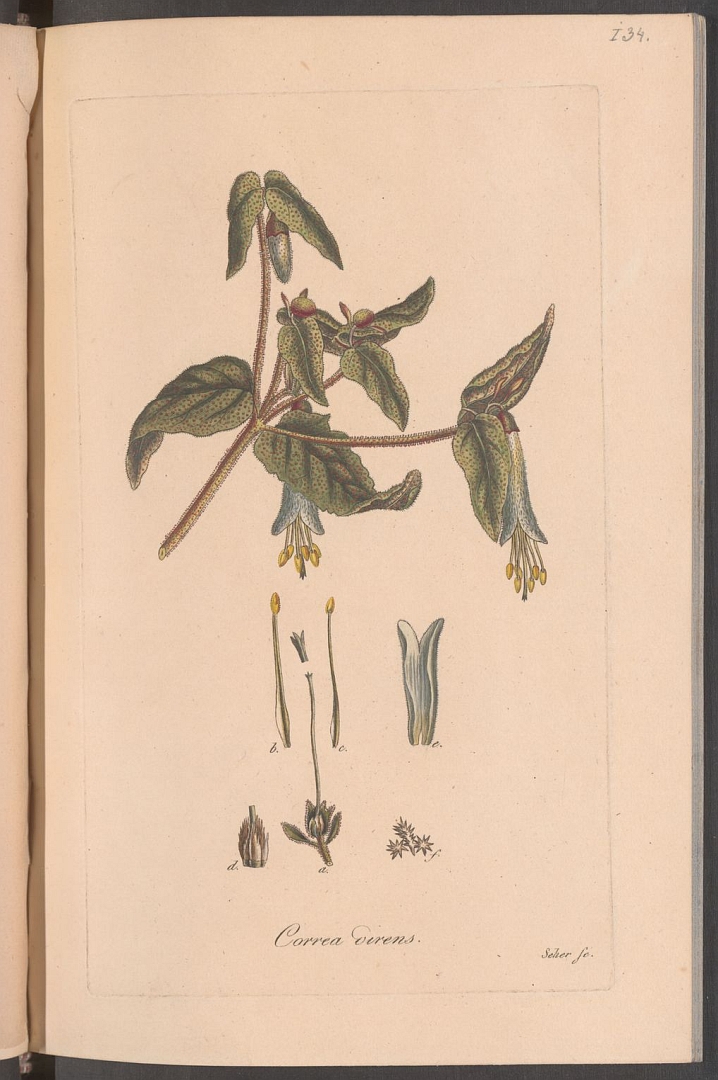 no HD illustration available (3)