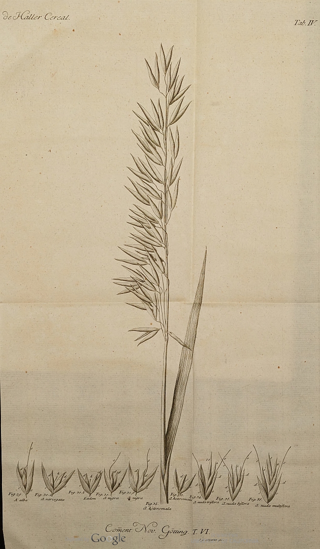 no HD illustration available (3)