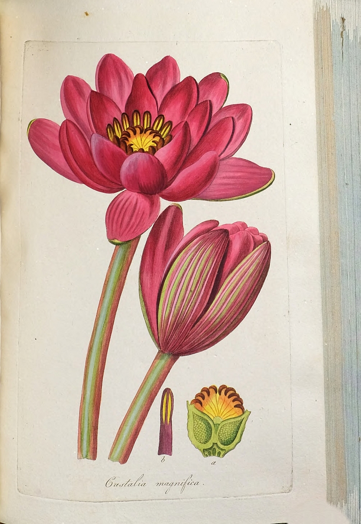 no HD illustration available (3)