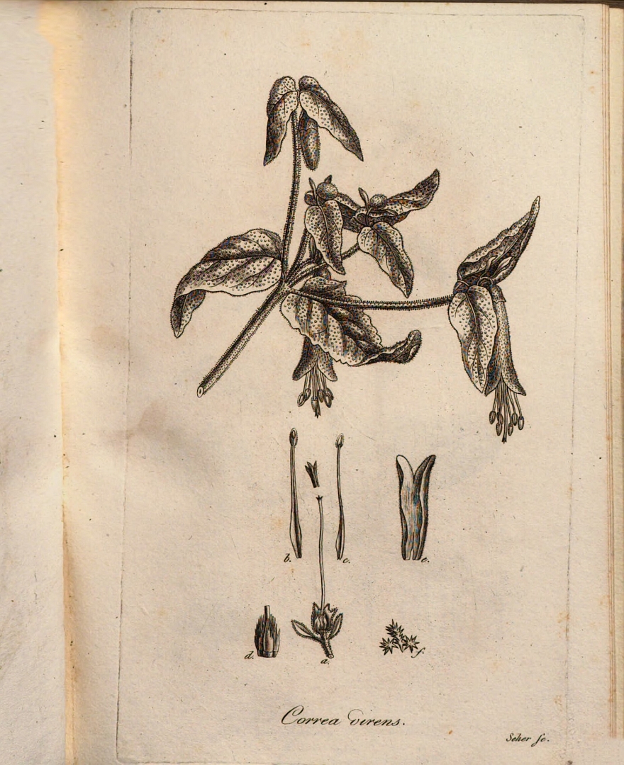 no HD illustration available (3)