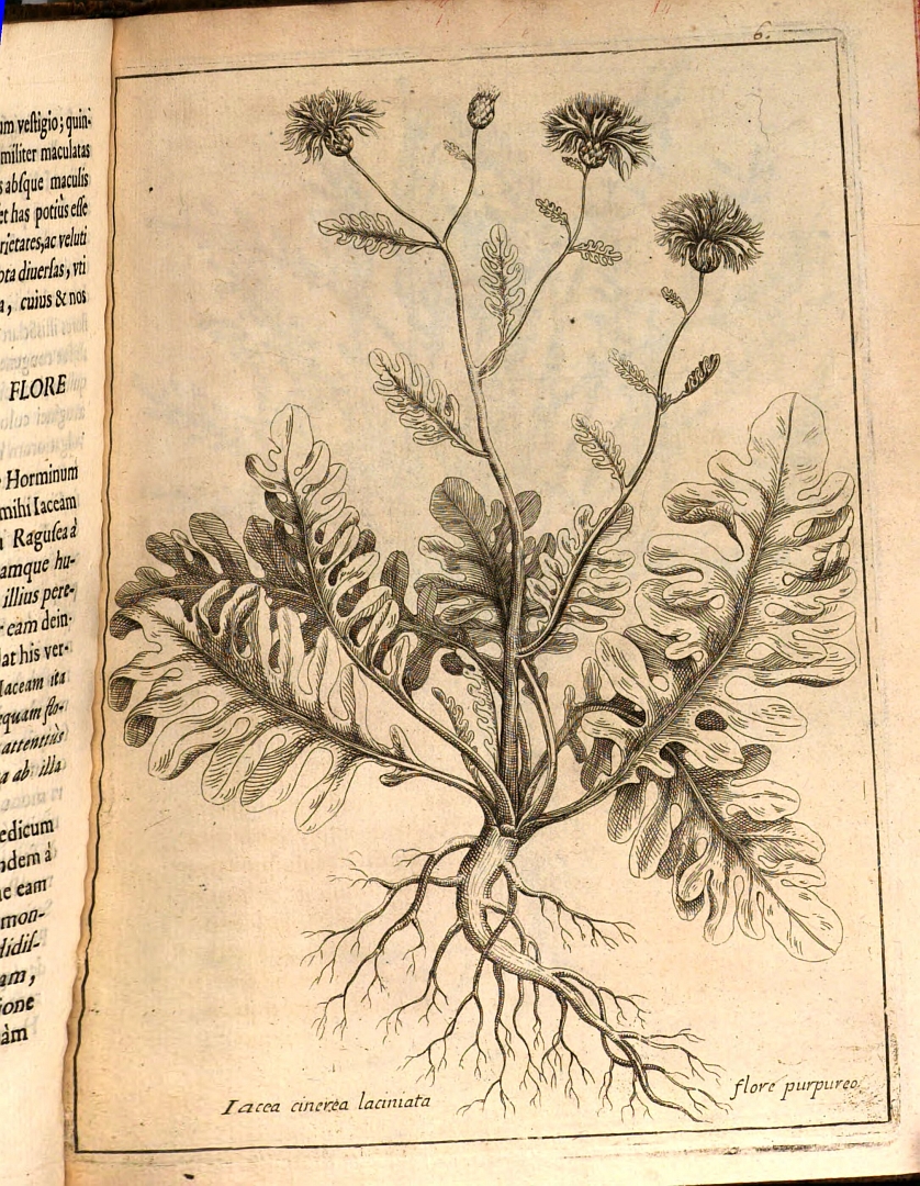 no HD illustration available (3)